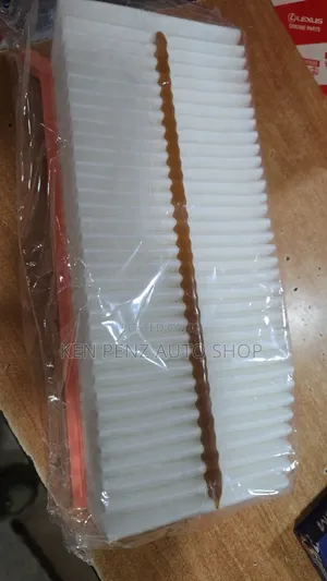 Renault 2010 - 2020 Air Filter/ Cleaner