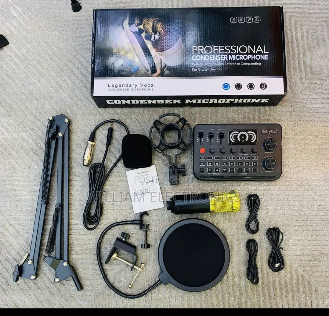 Professional Condenser Microphone