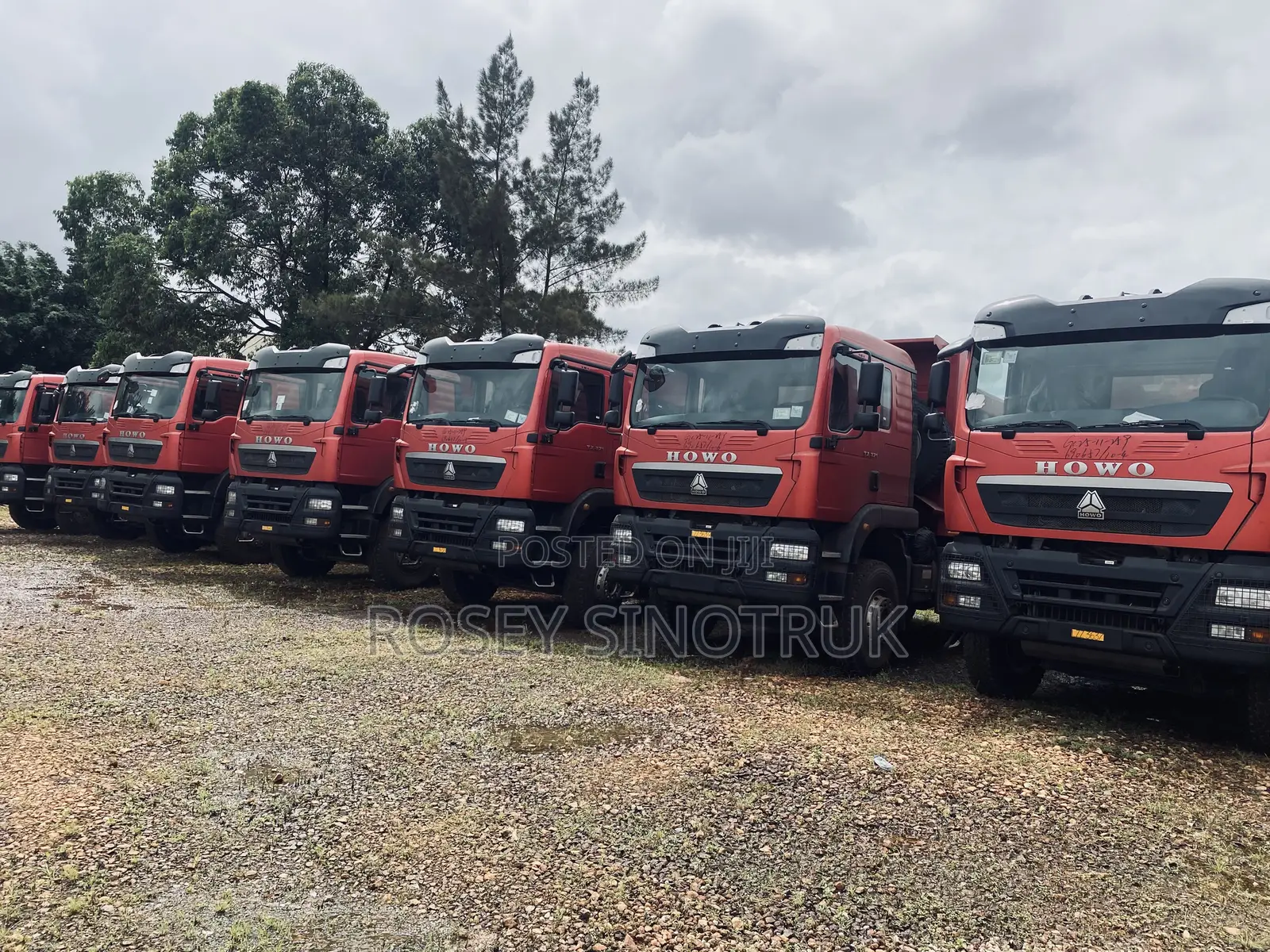 Howo Tx 6x4 Dumper