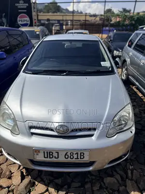 Toyota Allex 2006 Silver