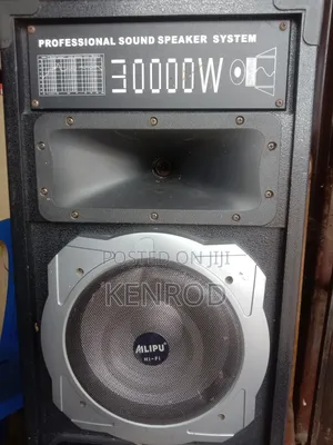 Professional Sound Speaker System
