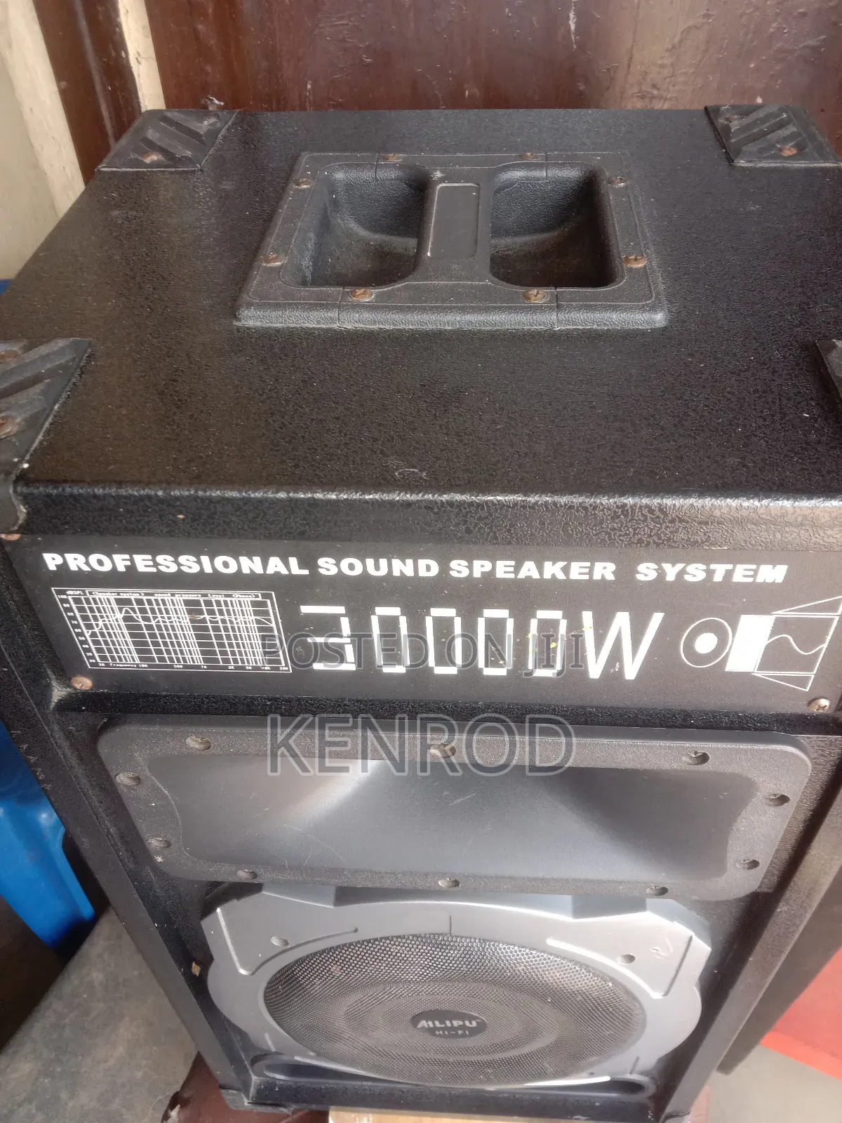 Professional Sound Speaker System