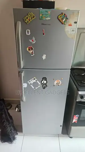 Hisense 295 Litter Refrigerator