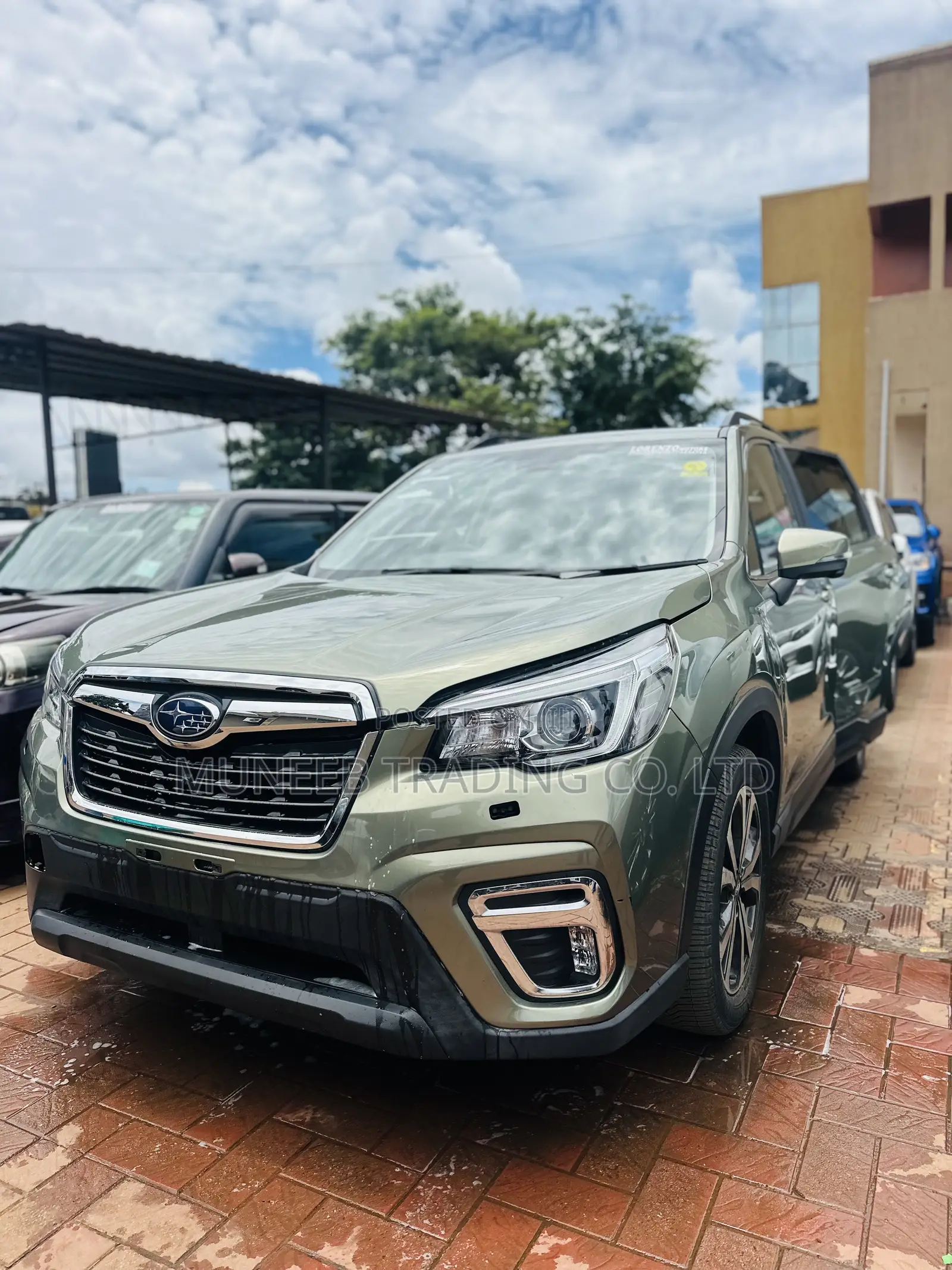 Subaru Forester Base AWD 2019 Green