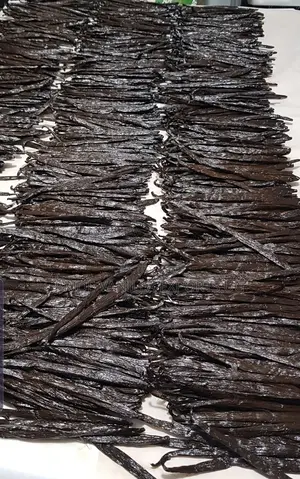 Vanilla Beans