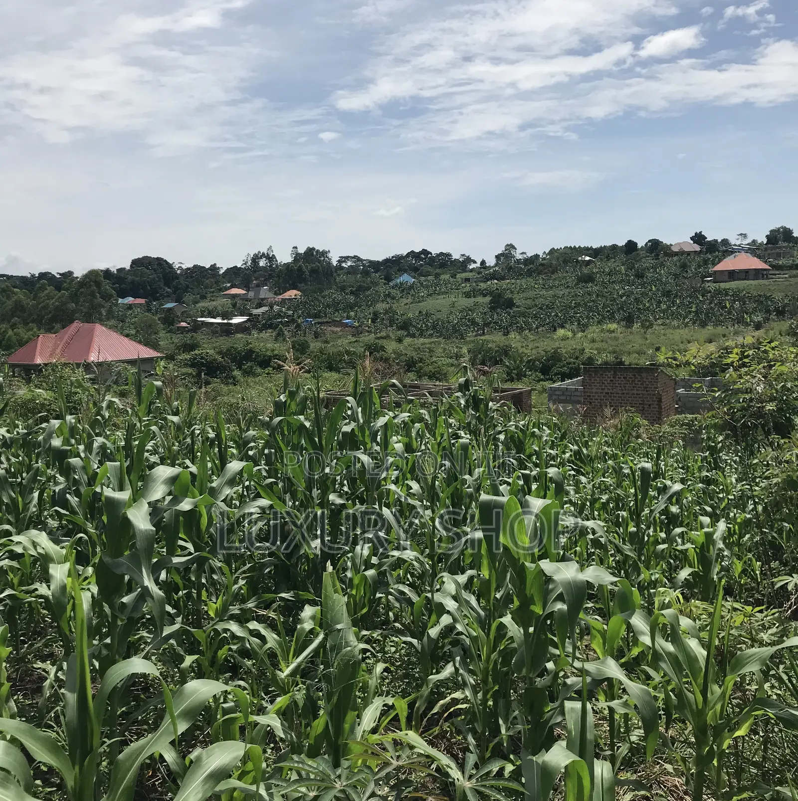 Land for Sale in Bujjuko
