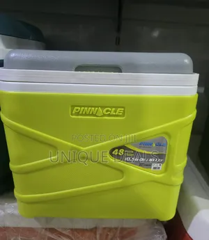 Pinnacle 10l Ice Cooler Chiller Box