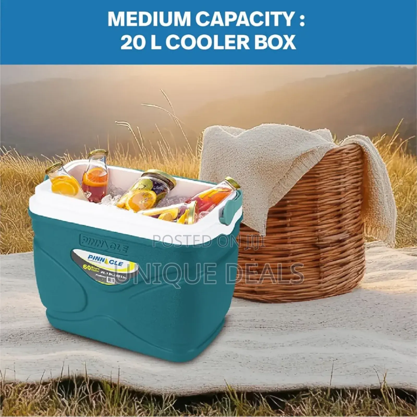 Pinnacle 20 Liter Insulated Cooler Box -