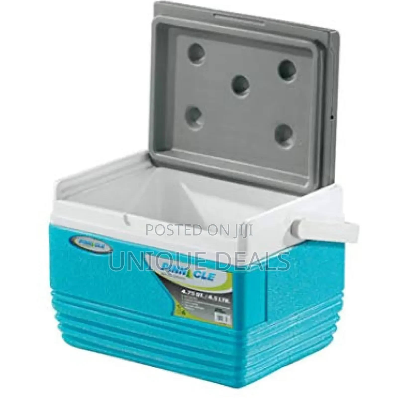 Cooler Pinnacle 4.5 L Ice Chiller Box , Keeps Cold Up to 48 Hours