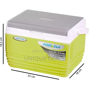 Cooler Pinnacle 4.5 L Ice Chiller Box , Keeps Cold Up to 48 Hours