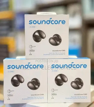 Anker Soundcore C40i Earbuds