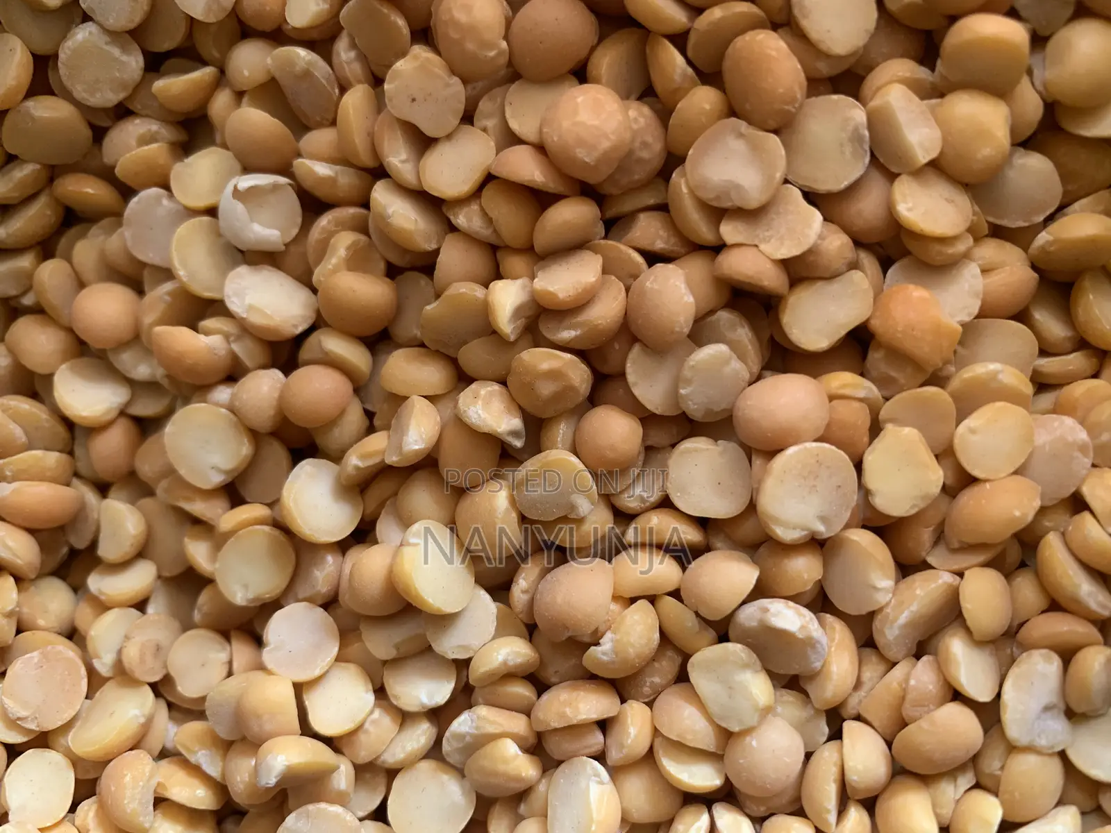 Yellow Split Peas or Dengo