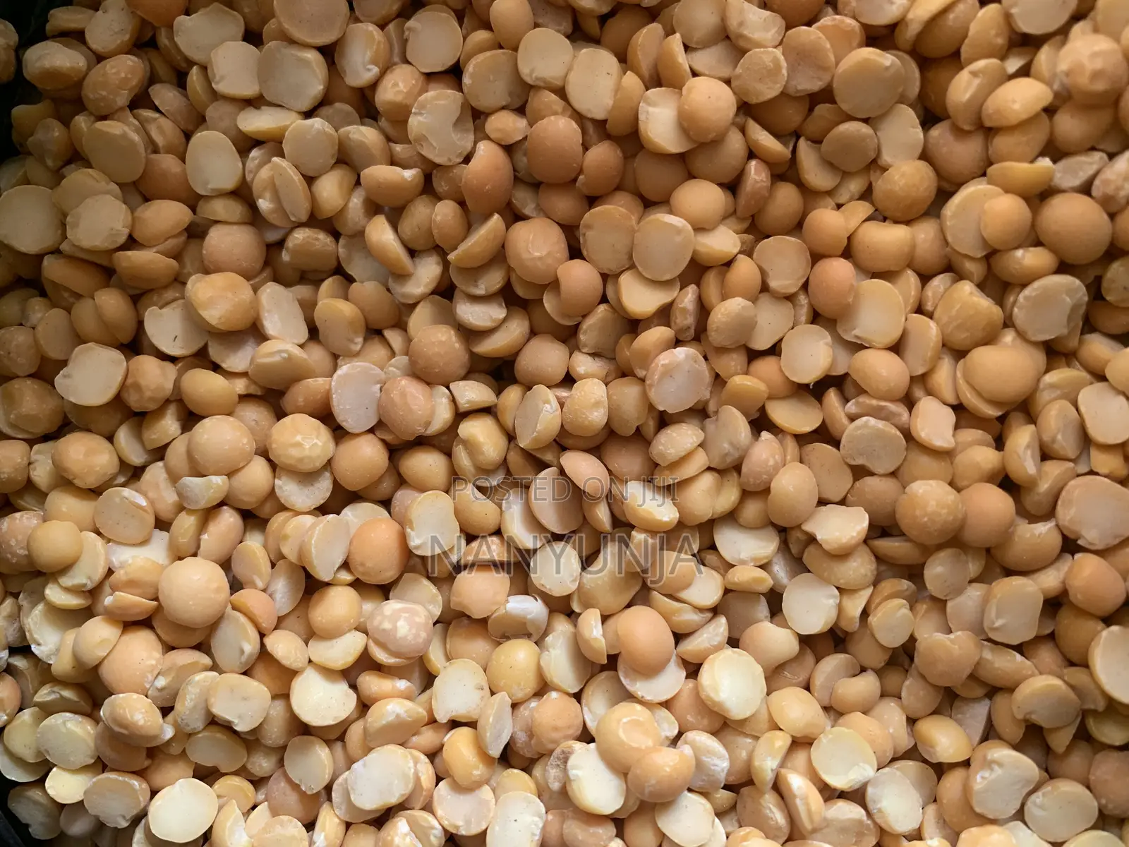 Yellow Split Peas or Dengo