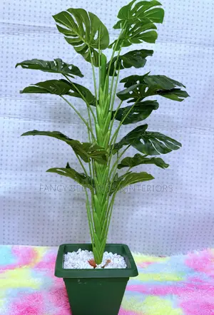 Artificial Plant With Vessel And White Stones