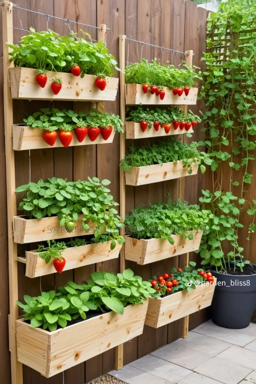 Backyard Gardening and Urban Farming