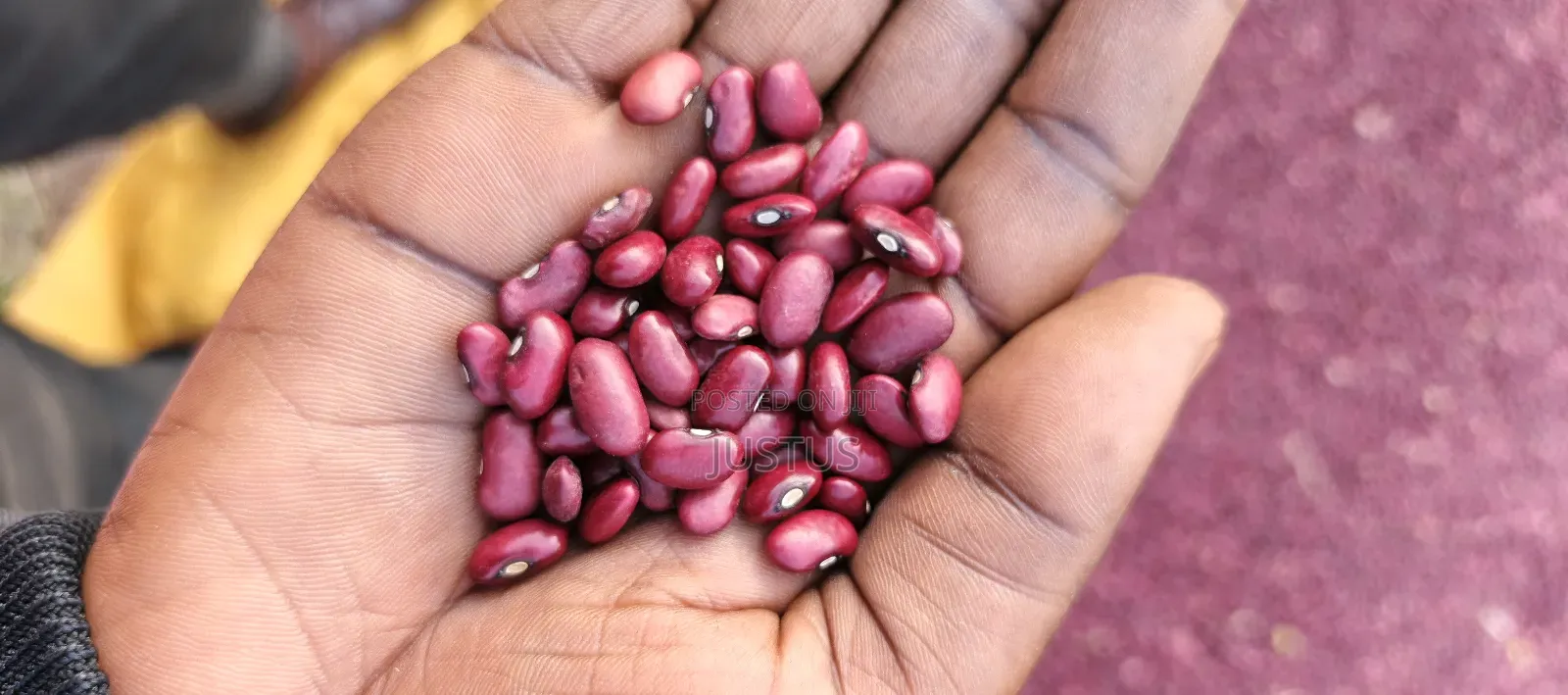 Beans for Sale