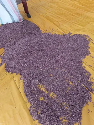 Beans for Sale