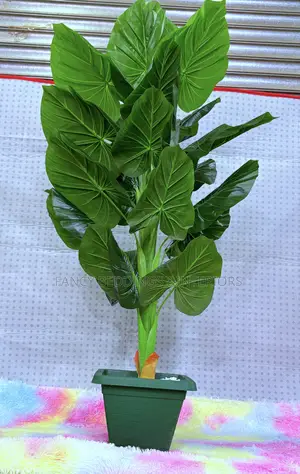 Artificial Plant With Vessel and White Stones