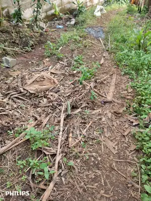 Land for Sale in Kammengo-Bushenyi
