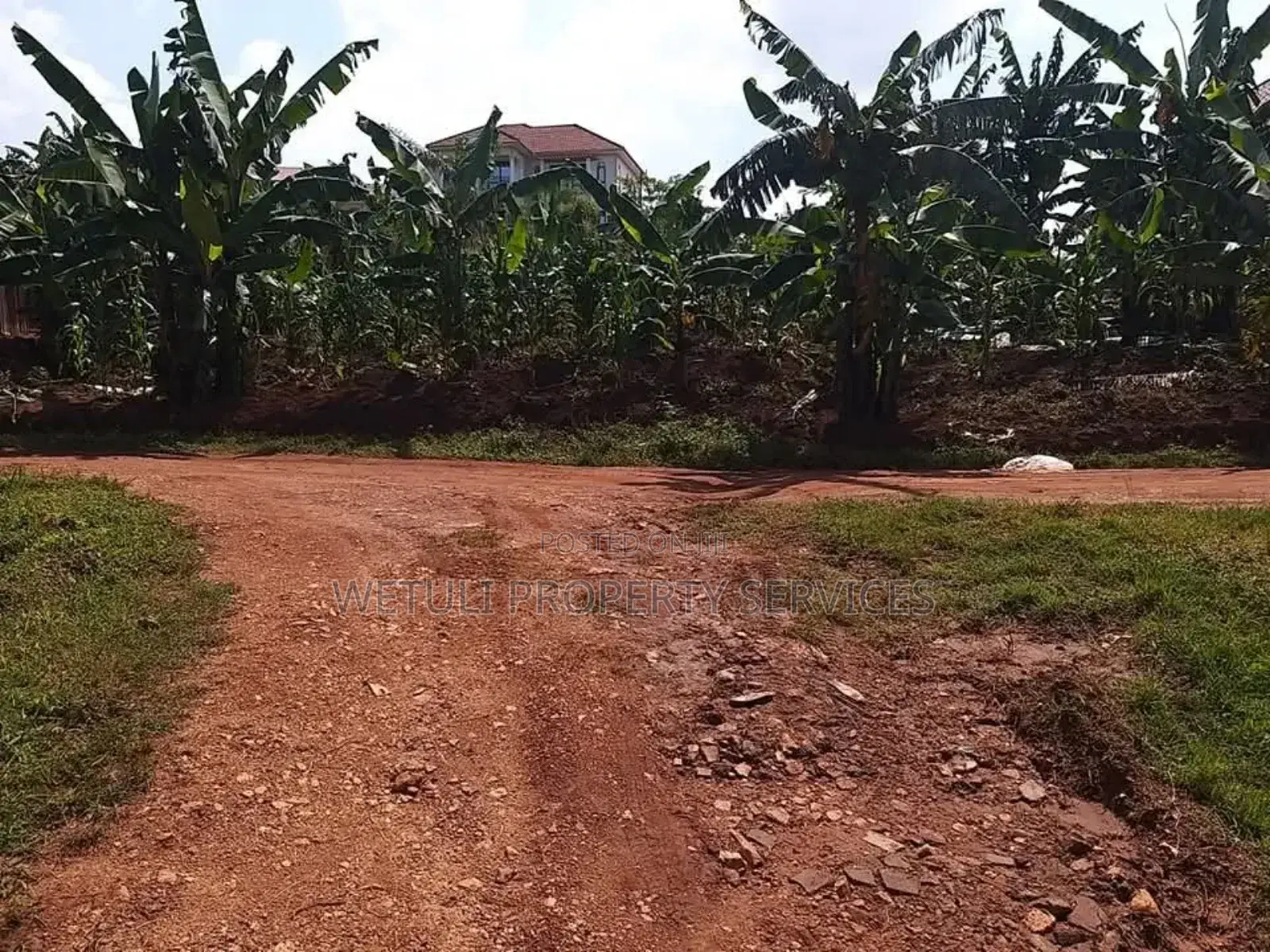Plot 14 Decimals for Sale at Biira Bujuko