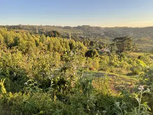 Plot for Sale Nakigalala, Kajjansi