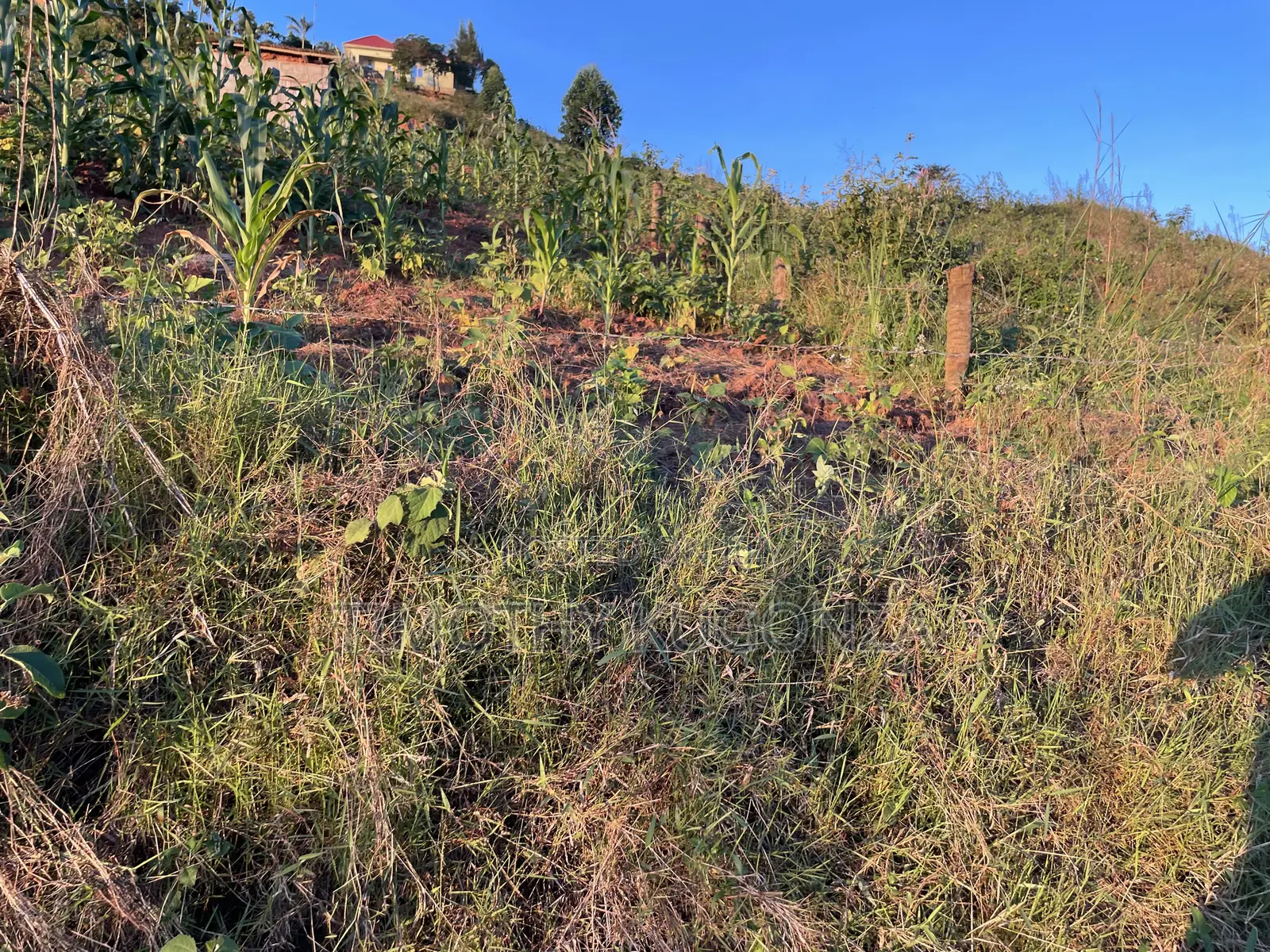 Plot for Sale Nakigalala, Kajjansi