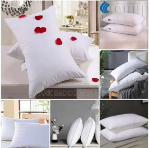 Soft Cotton Pillows