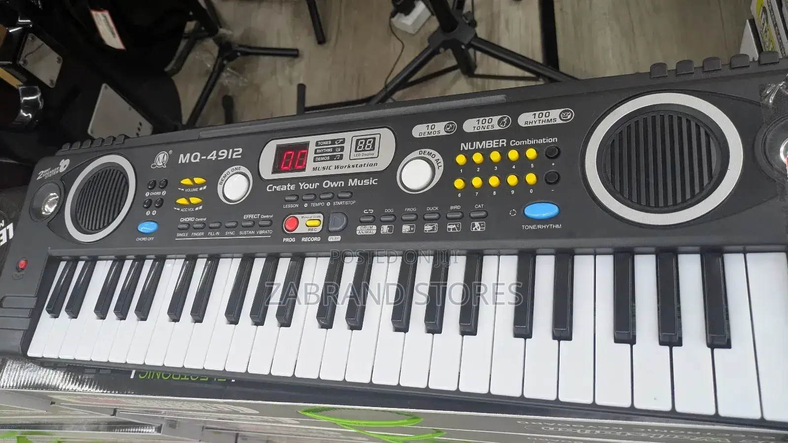 Portable Electronic Keyboard Piano 49 Keys