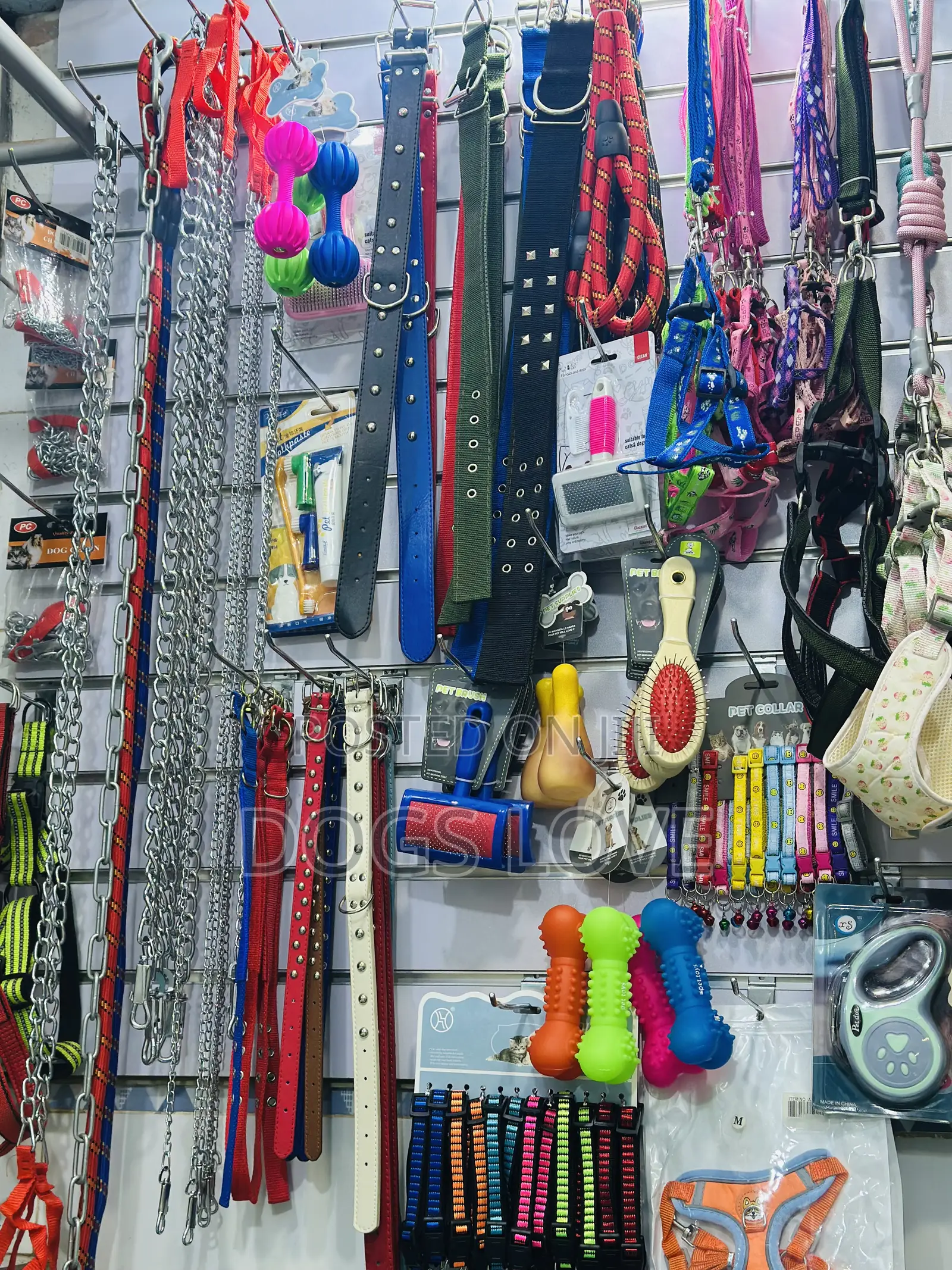 Pet Accessories