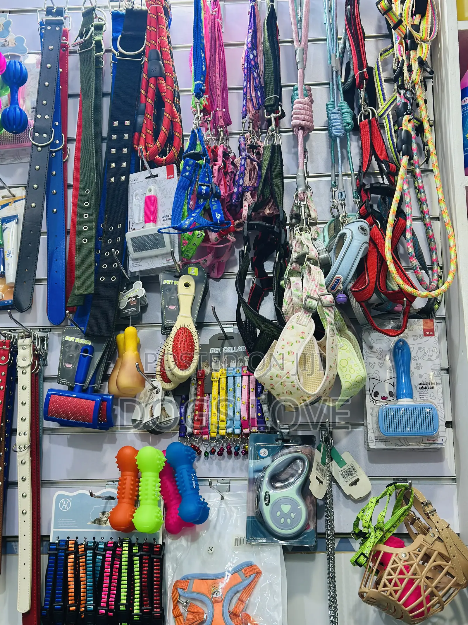 Pet Accessories