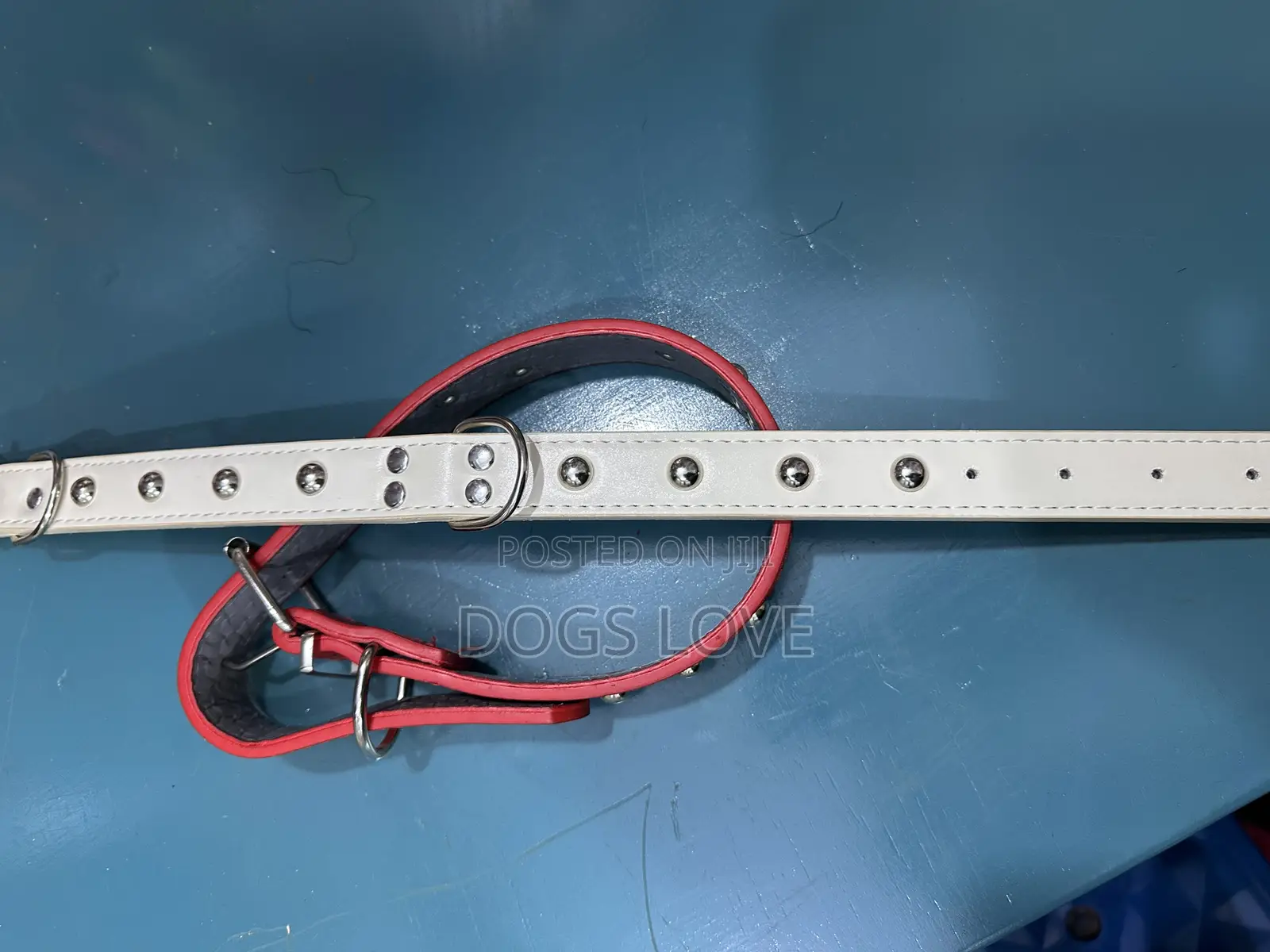 Medium Collars