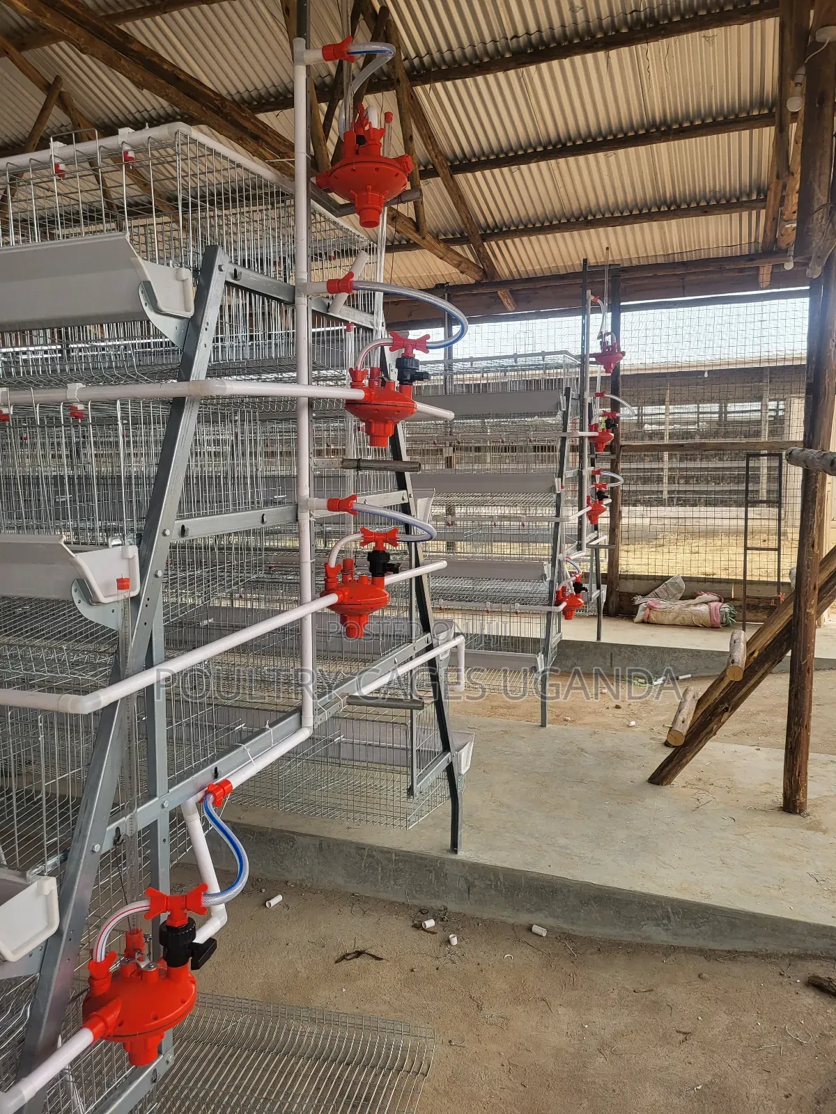 160 Birds 4 Tier Poultry Cages