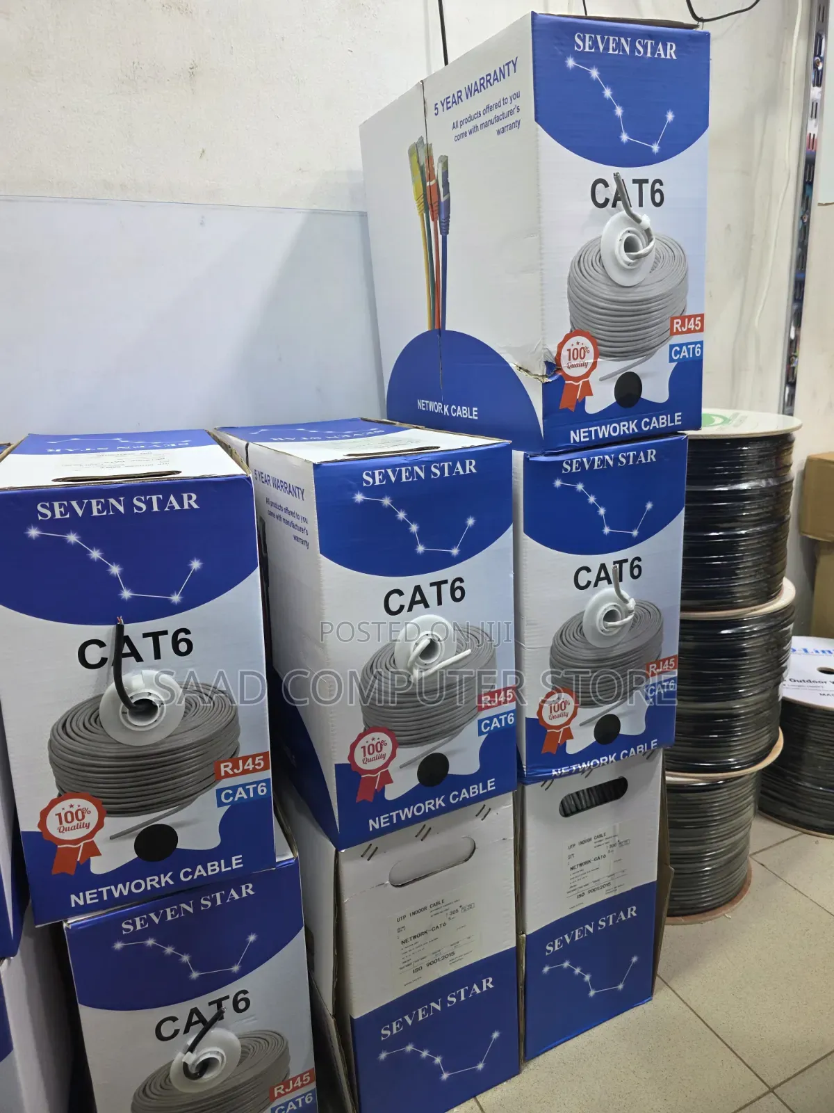 Cat 6 in Door