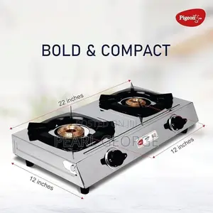 Pigeon Stainless Steel Gas Stove 2 Burner