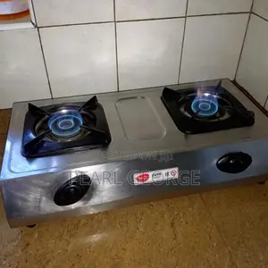 Pigeon Stainless Steel Gas Stove 2 Burner