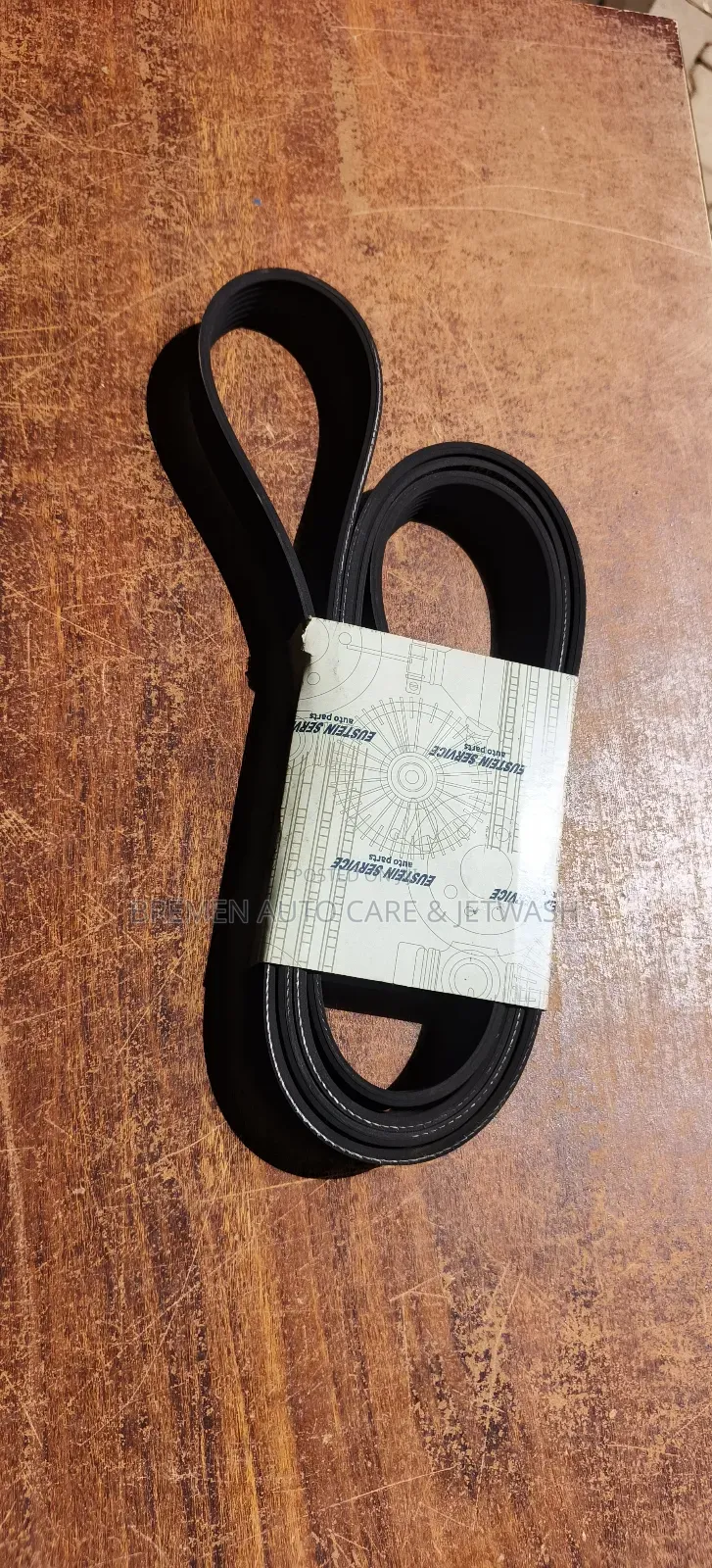 Serpentine Belt