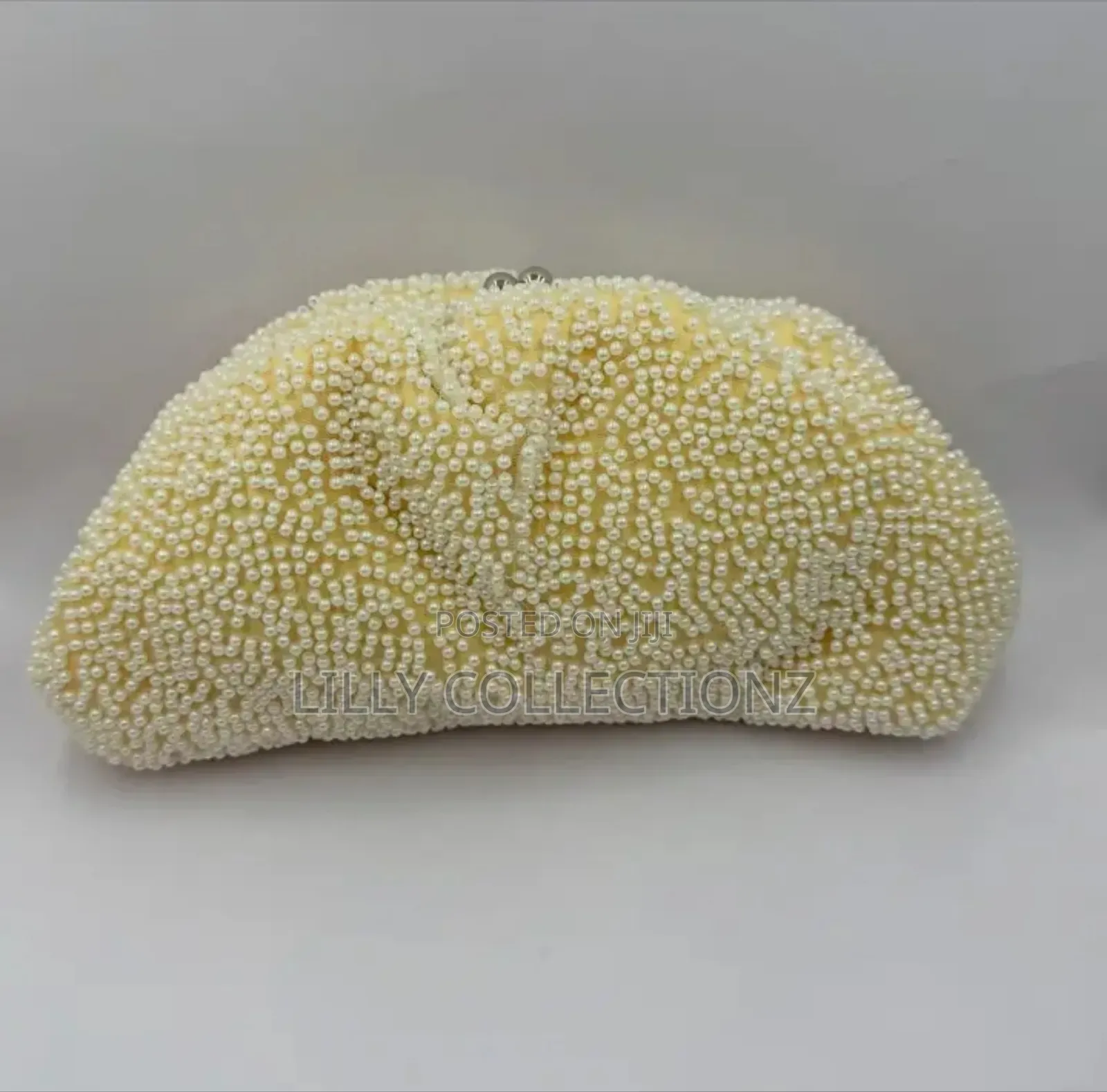 Pearl Studded Pouch Purse