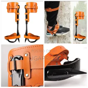 Pole Climbing Shoes