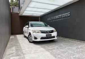 Toyota Corolla Fielder 2013 White