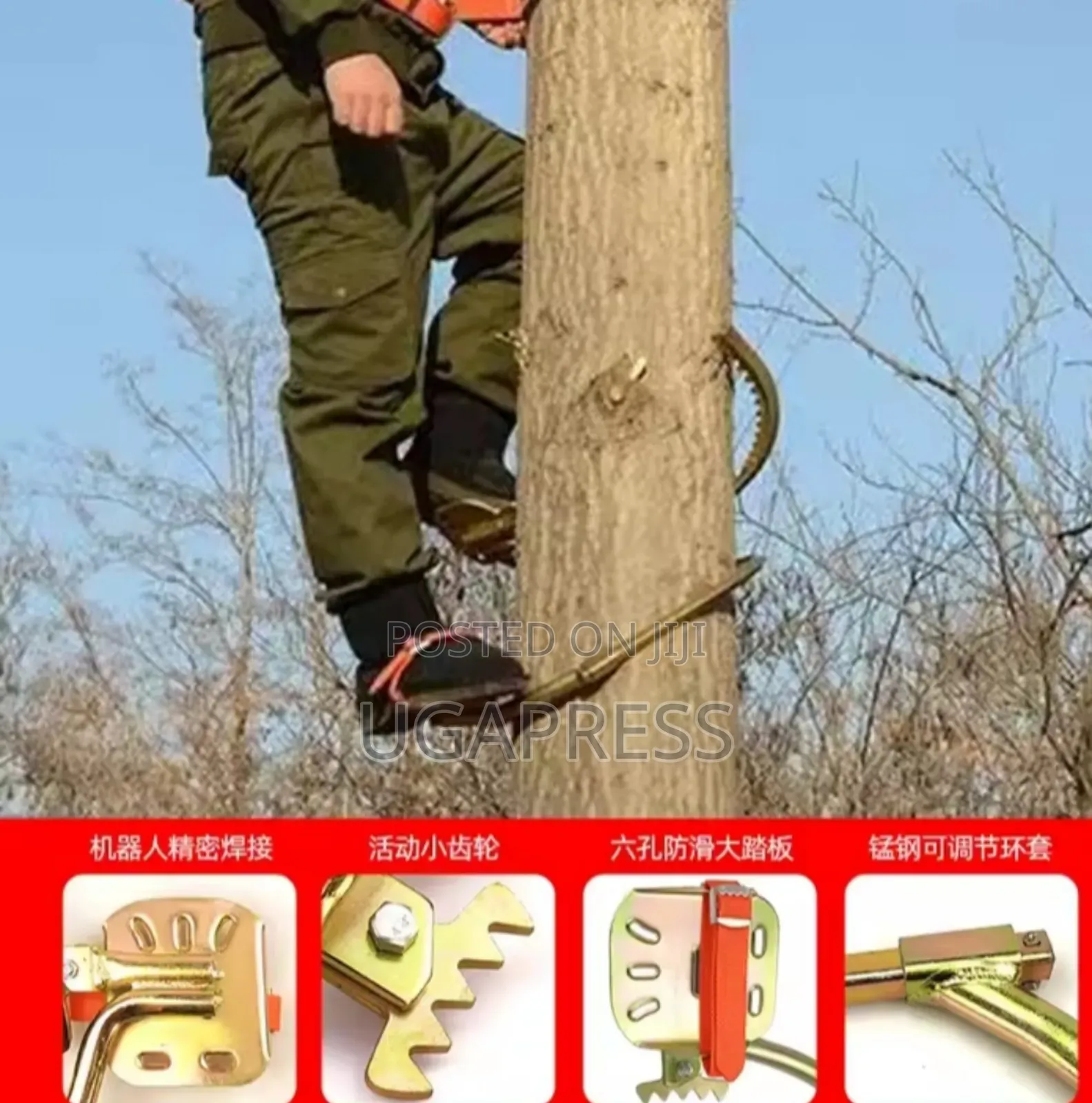 Pole Climber (With Climbing Belts)