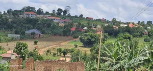 Hot Plot for Sale at Wakiso - Nkowe Mubango