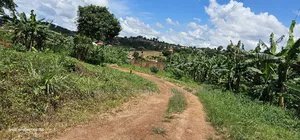 Hot Plot for Sale at Wakiso - Nkowe Mubango