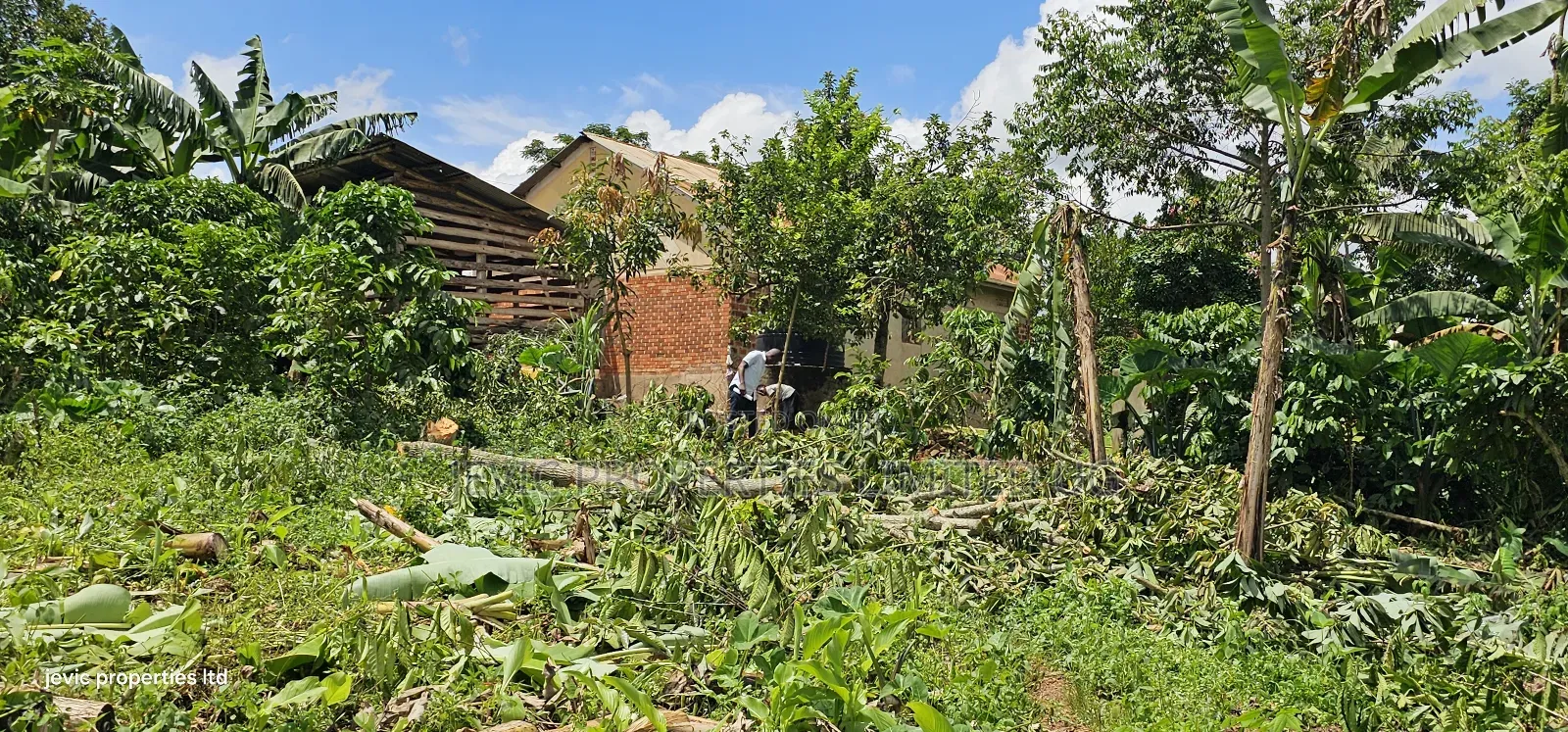 Hot Plot for Sale at Wakiso - Nkowe Mubango