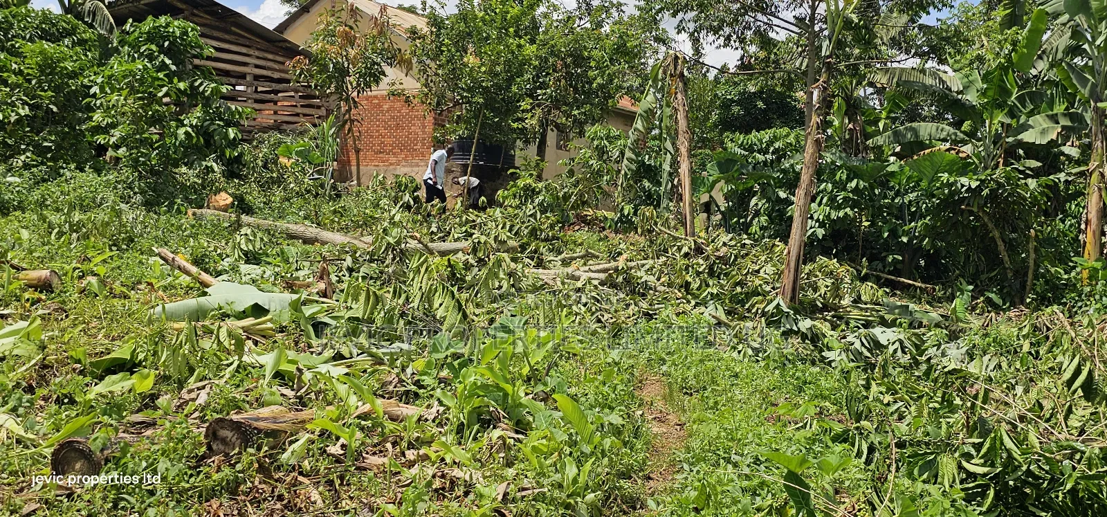 Hot Plot for Sale at Wakiso - Nkowe Mubango