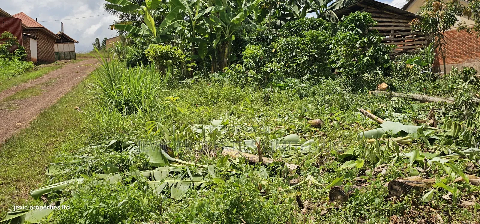 Hot Plot for Sale at Wakiso - Nkowe Mubango