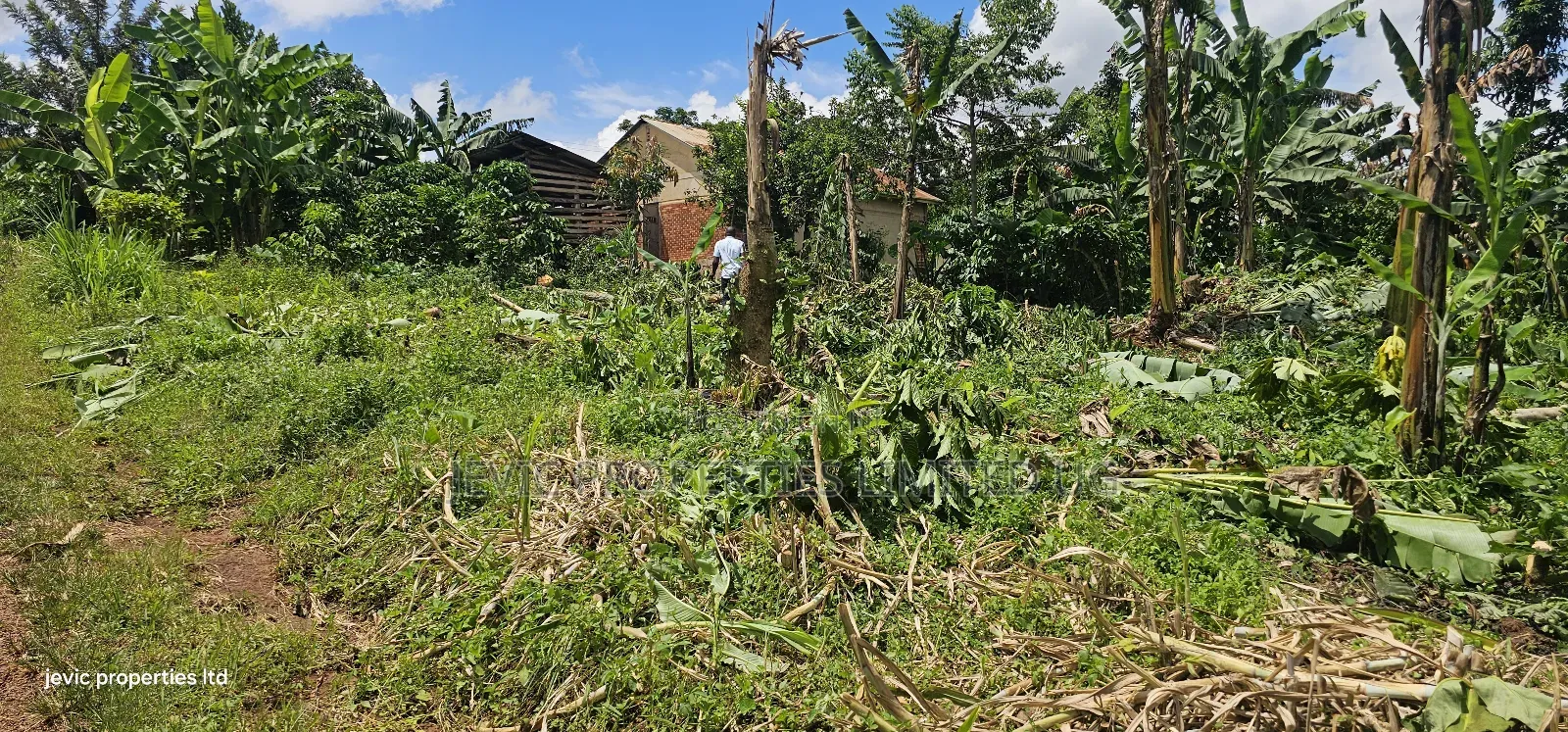 Hot Plot for Sale at Wakiso - Nkowe Mubango