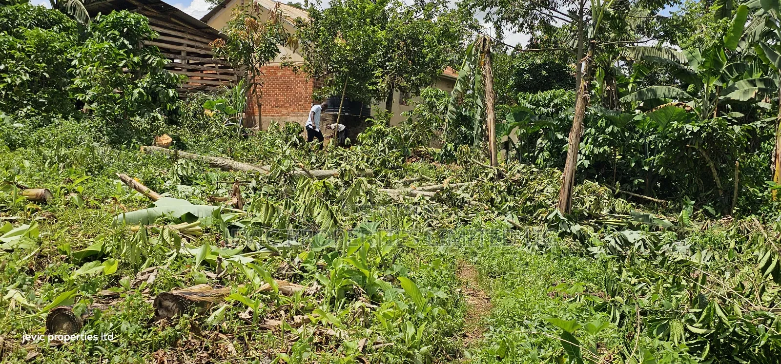 Wakiso Plots on Hot Sale - Hoima Road