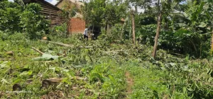 Wakiso Plots on Hot Sale - Hoima Road