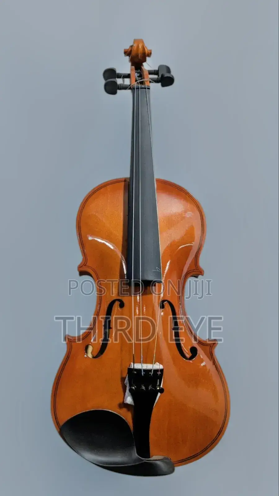 Violins Available (Brand New)
