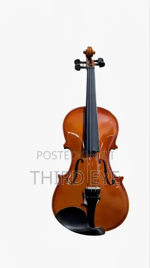 Violins Available (Brand New)